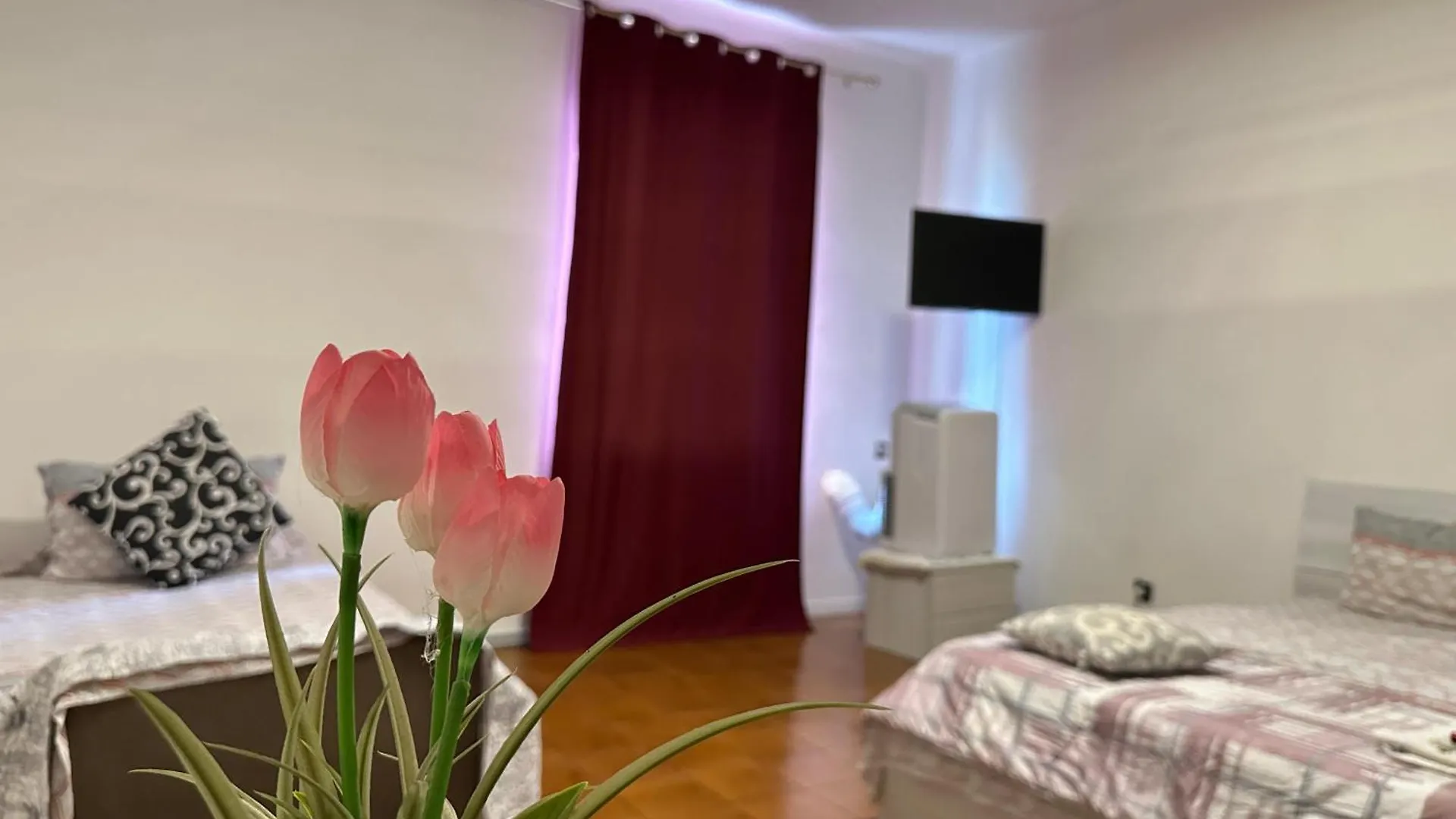 Good Morning Venice Apartment